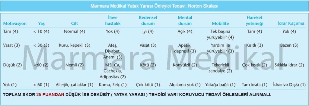 Norton Skalası Hakkında Merak Ettikleriniz